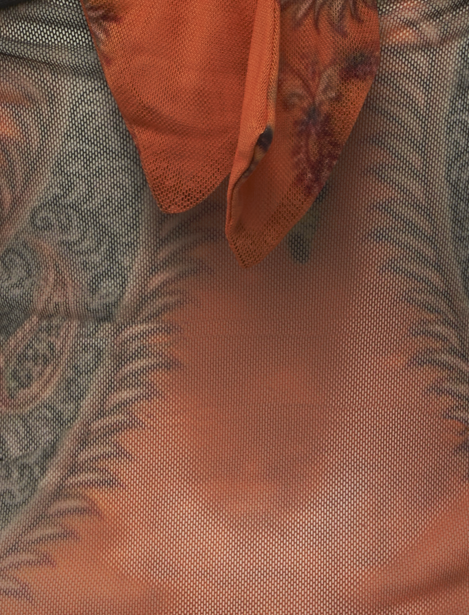 MESH DRAGONFLY TOP