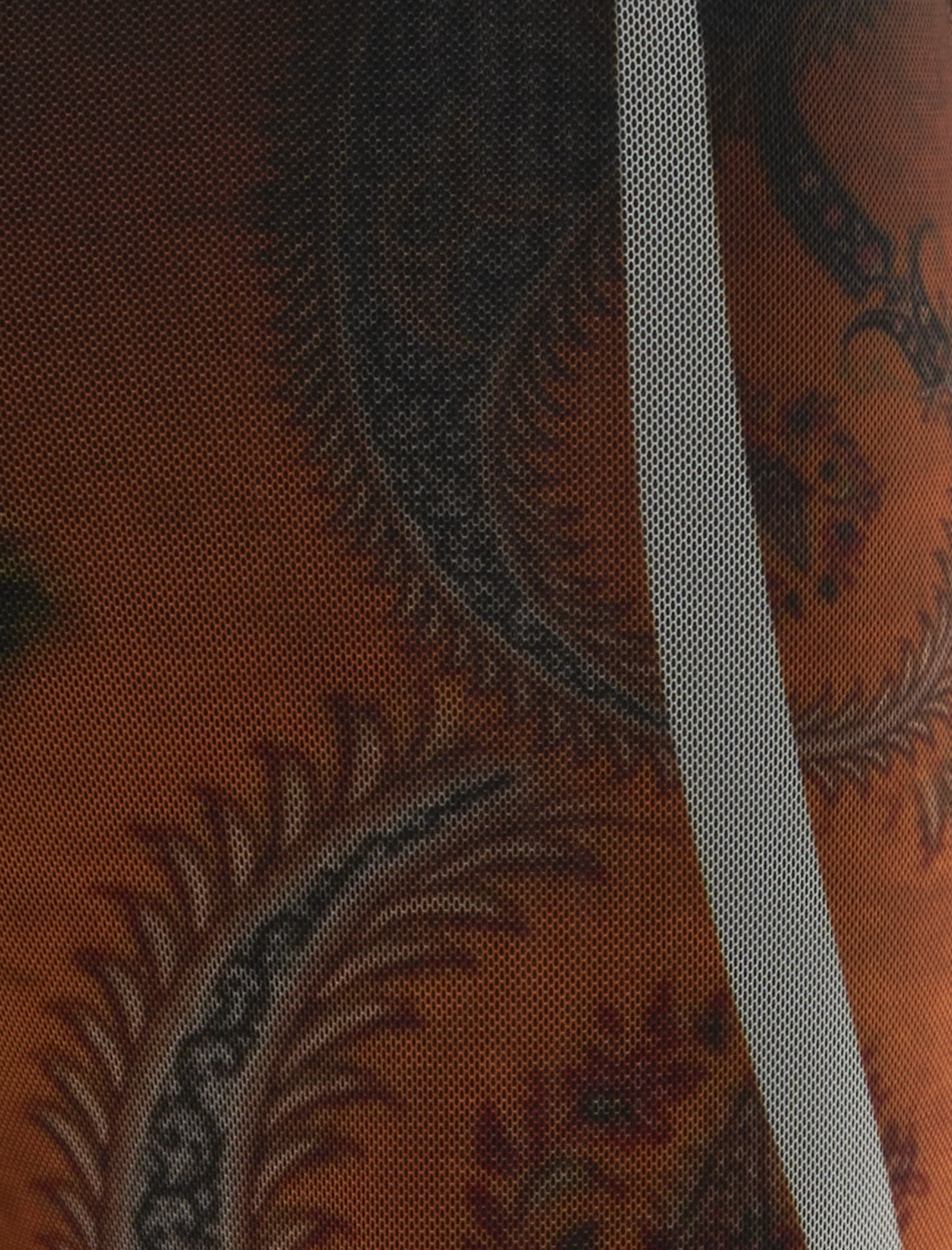 MESH PANTS