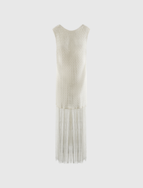 SHINY POINTELLE FRINGE DRESS